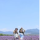 나드리 - 남동구 석정로565번길 20-4 | 나드리