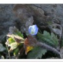 양지빌딩2 이미지