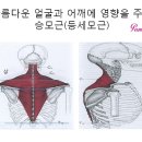 스파체형관리 이미지