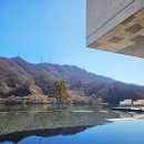 아이트리윅스(주) | 북한강 리버뷰가 멋진 가평 남이섬카페 골든트리 아이와함께 방문후기