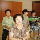 장성읍사무소 Daum카페