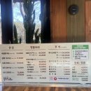 돈오리맛집 | 부산 오리 맛집 명지 돈오리 양념오리불고기 후기