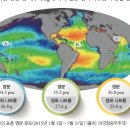 표층 염분 분포 이미지