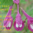 희로 이미지