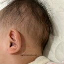 가나베스트타운빌딩 이미지