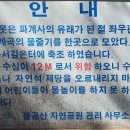 팔공산 한티재 번개(22.03.06) 후기입니다 이미지