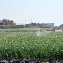 무릉1공원 이미지