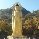 속리산 법주사 이미지