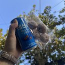 지에스(GS)25동대문용두 이미지