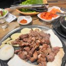 건방진오돌뼈 이미지
