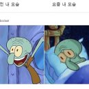 세나산부인과