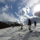 웰리힐리파크 이미지