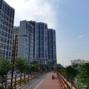 메가센트럴약국 이미지