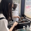 [야간]바리스타 기초자격증 이미지