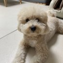 오정로266번길 이미지