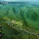 (주)백두산천지인 연산지점 | 신천지로 상처받은 향적산 ‘치유의 숲’으로