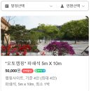 안성 율곡관광농원 오토캠핑장, 두번째 방문 후기