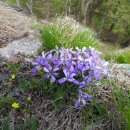 팔공산한의원 이미지