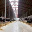 진흥태양광발전소 이미지