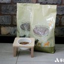 라이코 바이탈 코리아 이미지