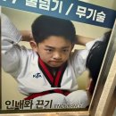단국대 백호 태권도장 이미지