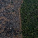 우림축산농장 이미지