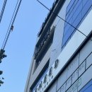 달리핀 에스테틱 이미지