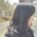 21세기프라자 | 안산 고잔동 매직세팅 C컬 후기｜살롱드로웰미 안산고잔점 현실장님 인생미용실 찾음