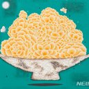 정한가든