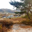 흙공인중개사사무소 이미지