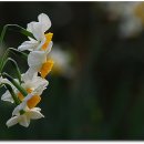 식물원주유소 이미지