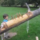 가야금튕겨보기 이미지