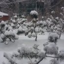 파주1리 이미지