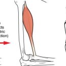 하랑메디컬 이미지