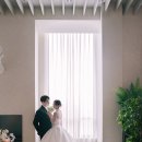 마르시아