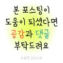 카 원스톱 | 경남 사천 가볼만한곳 BEST｜케이블카부터 동물원·수족관까지 원스톱 나들이 후기