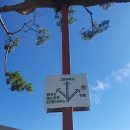 누울 | 양산 트리폰즈 누울 수 있는 대형카페 야외 텐트에서 누워서 하늘 보기 추천