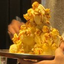 손씨집 | 백석역 술집 [손씨포차] 또간집 솔직후기