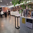 디지클럽 미용실 | 연신내미용실 박승철헤어스튜디오 후기