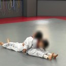 용인대하가태권도 네이버블로그