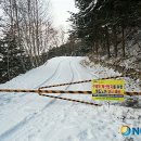 국유림(관) 이미지