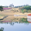 에이원 CC 이미지