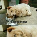 우정휴게실 이미지