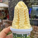 빵빠레 이미지