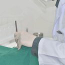 서울다정치과의원 이미지