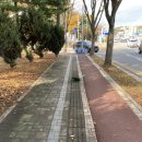 세교초교 사거리 이미지