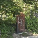 3월 21일 <세계 숲의 날> 반려식물: 다육이 | 서울 근교 포천 광릉숲 국립수목원 힐링 전나무 숲길