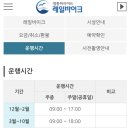 구읍로 | 영종도 씨사이드 레일바이크 후기 가격 주차 대기•운행시간 예약팁