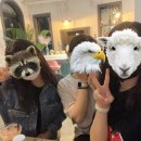 병오농장 이미지