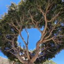 자장암 마애아미타여래삼존상 | 추천 암자 세 곳_바오밥나무(?)로 유명한 비로암, 금와보살이 있다는 자장암, 풍경이 아름다운 사명암